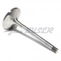 INTAKE VALVES