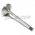 EXHAUST VALVES