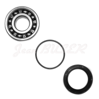 Rear wheel bearing kit 356 B (60-63)